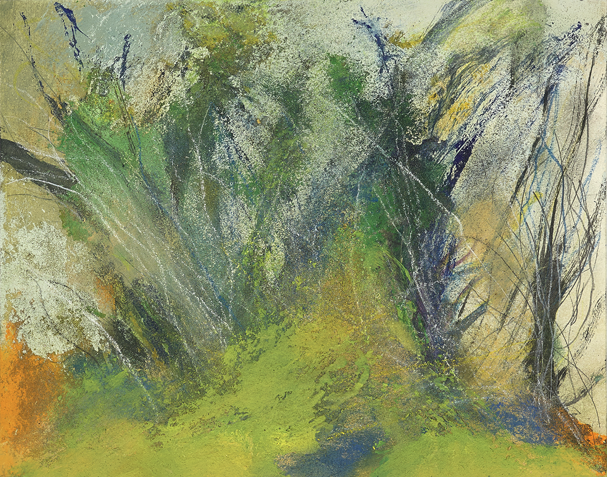 leveque-4195_des_arbres