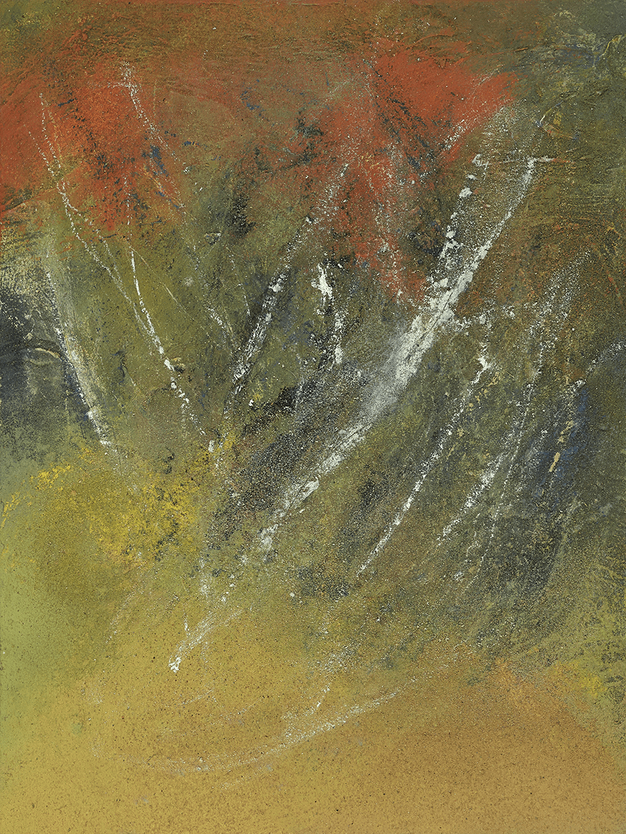 leveque-4199_la_betulacee