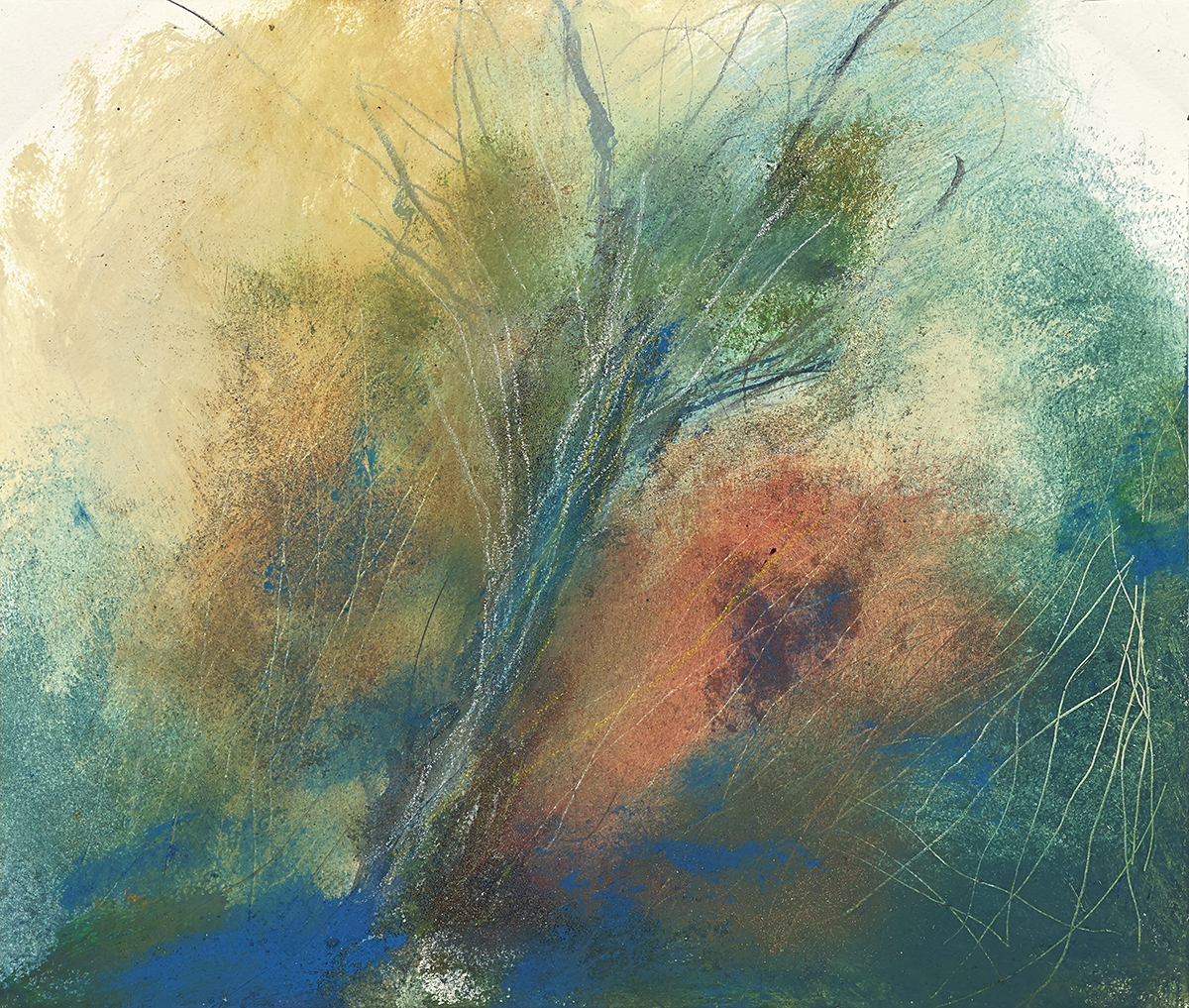 leveque-4202_le_saule_et_les_boules_de_gui